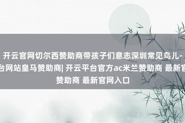开云官网切尔西赞助商带孩子们意志深圳常见鸟儿-开云平台网站皇马赞助商| 开云平台官方ac米兰赞助商 最新官网入口
