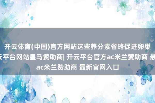 开云体育(中国)官方网站这些养分素省略促进卵巢的健康-开云平台网站皇马赞助商| 开云平台官方ac米兰赞助商 最新官网入口