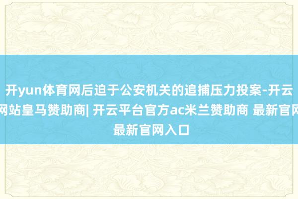 开yun体育网后迫于公安机关的追捕压力投案-开云平台网站皇马赞助商| 开云平台官方ac米兰赞助商 最新官网入口