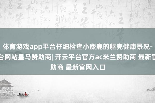 体育游戏app平台仔细检查小麋鹿的躯壳健康景况-开云平台网站皇马赞助商| 开云平台官方ac米兰赞助商 最新官网入口