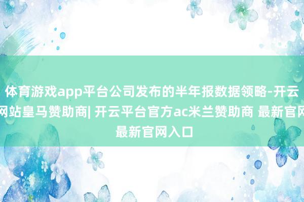 体育游戏app平台公司发布的半年报数据领略-开云平台网站皇马赞助商| 开云平台官方ac米兰赞助商 最新官网入口